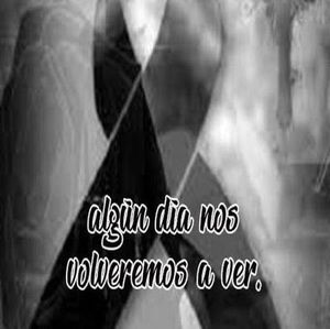 Meet your Posher, Valentin